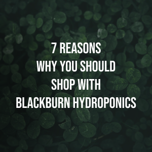 Blackburn Hydroponics One Stop Grow Shop