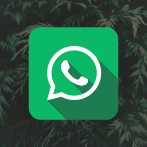 BBHYDRO Blackburn Hydroponics Whatsapp