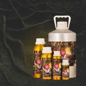 House and Garden Roots Excelurator Family Blog