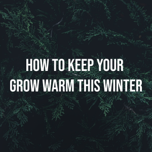 How to Keep Plants Warm in Winter How to Heat a Grow Tent How to Keep Indoor Plants Warm in Winter