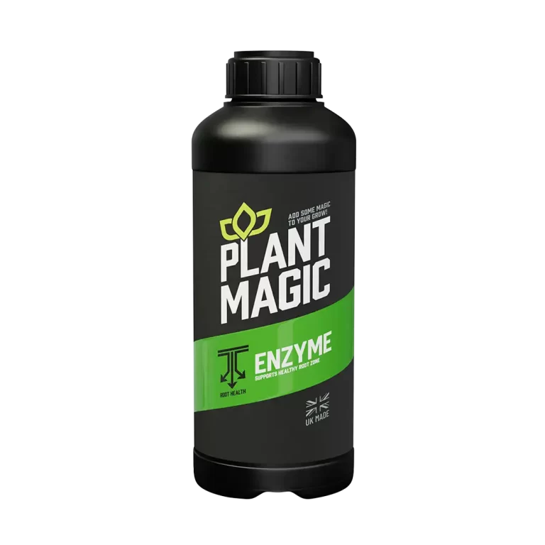 Plant Magic Enzyme