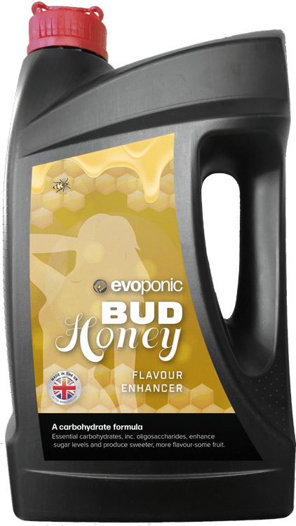 Evoponic Bud Honey