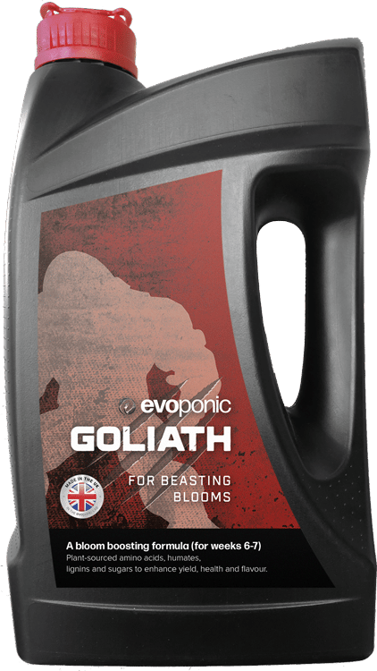 Evoponic Goliath