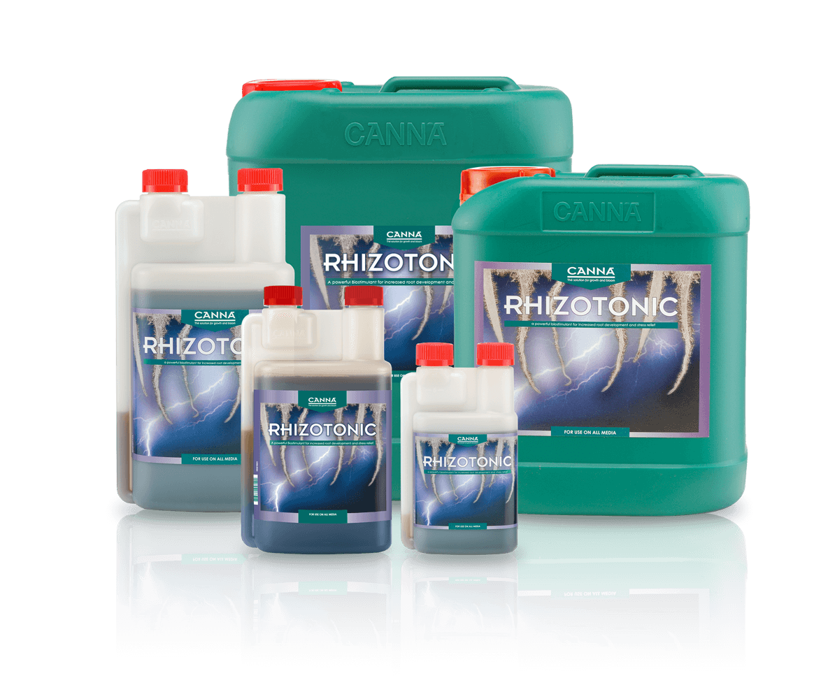 Canna Rhizotonic