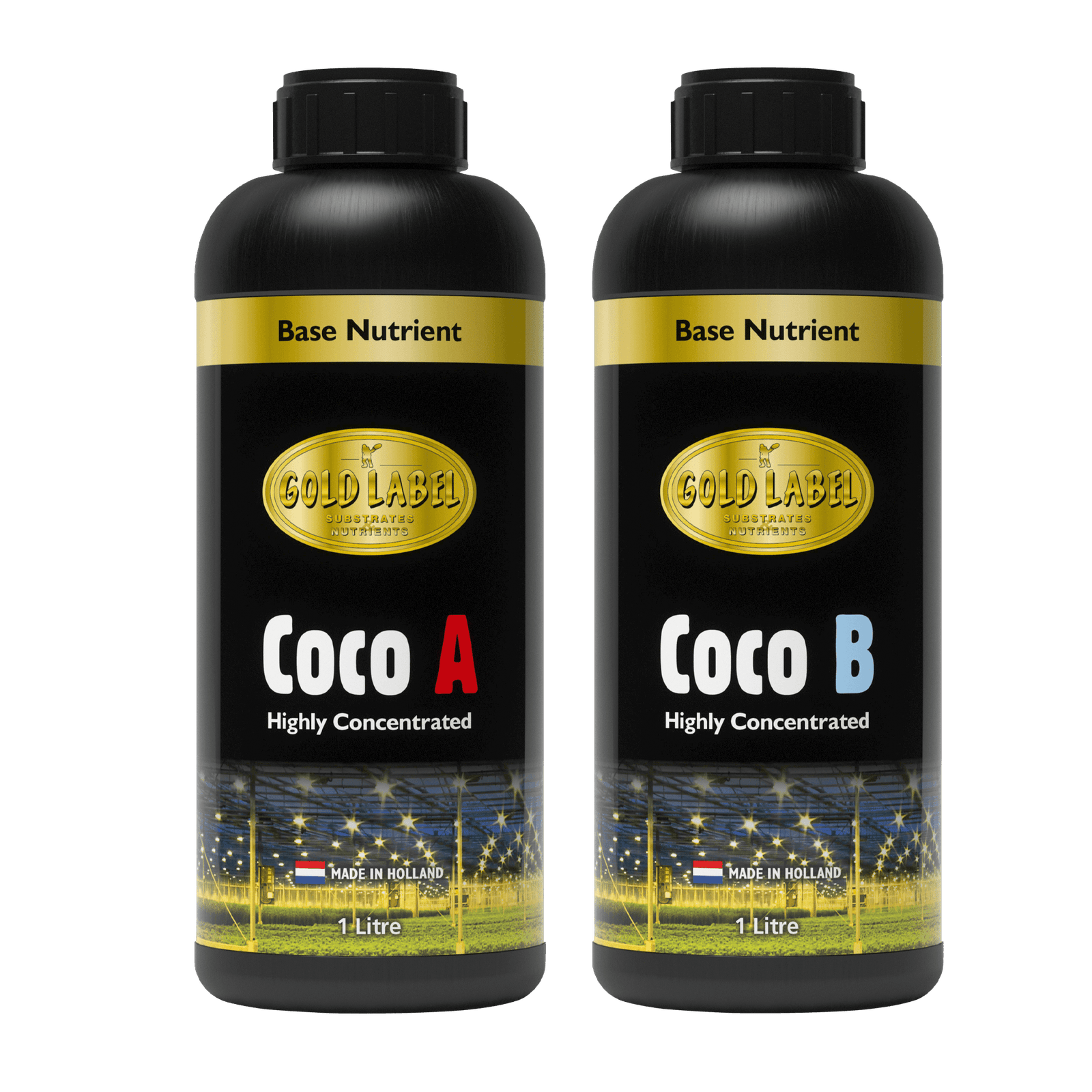 Gold Label Coco A&B