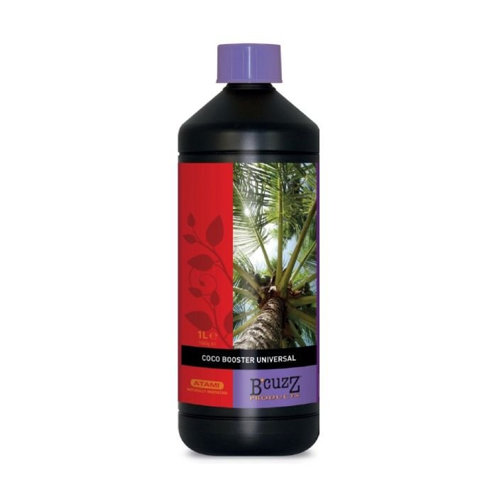 Atami Coco Booster