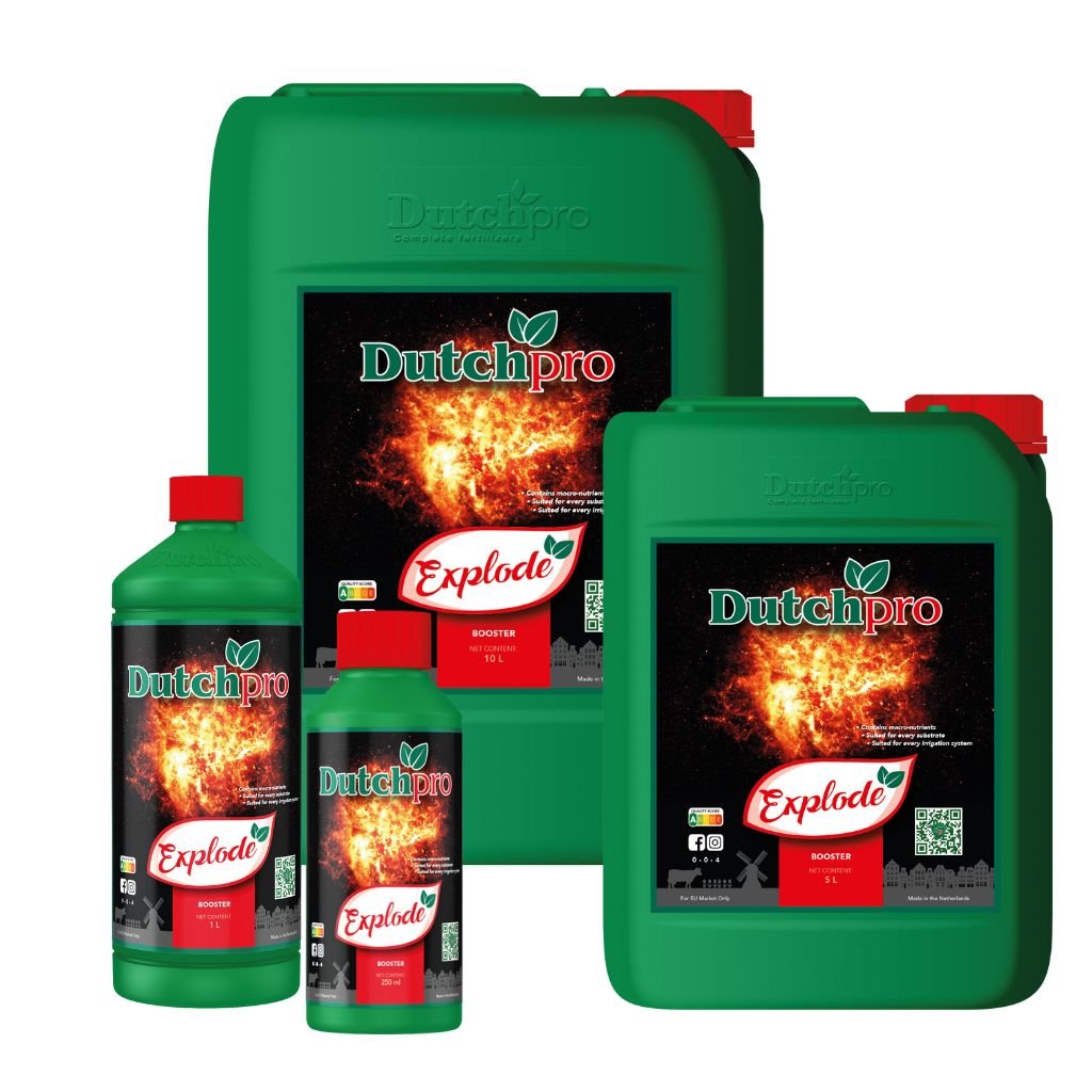 DutchPro Explode