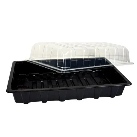 Mini propagator