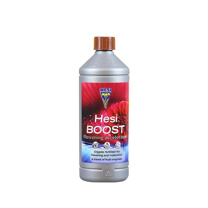 Hesi Boost