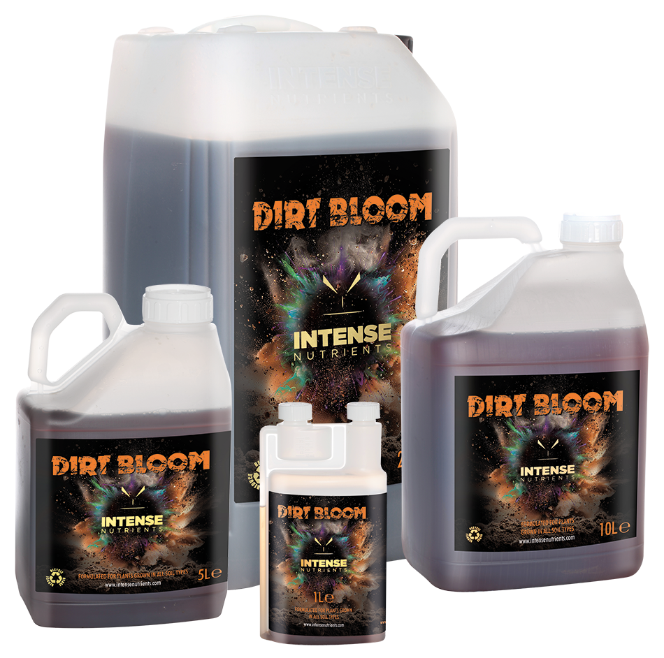 Intense Nutrients Dirt Bloom