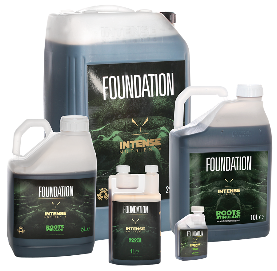 Intense Nutrients Foundation