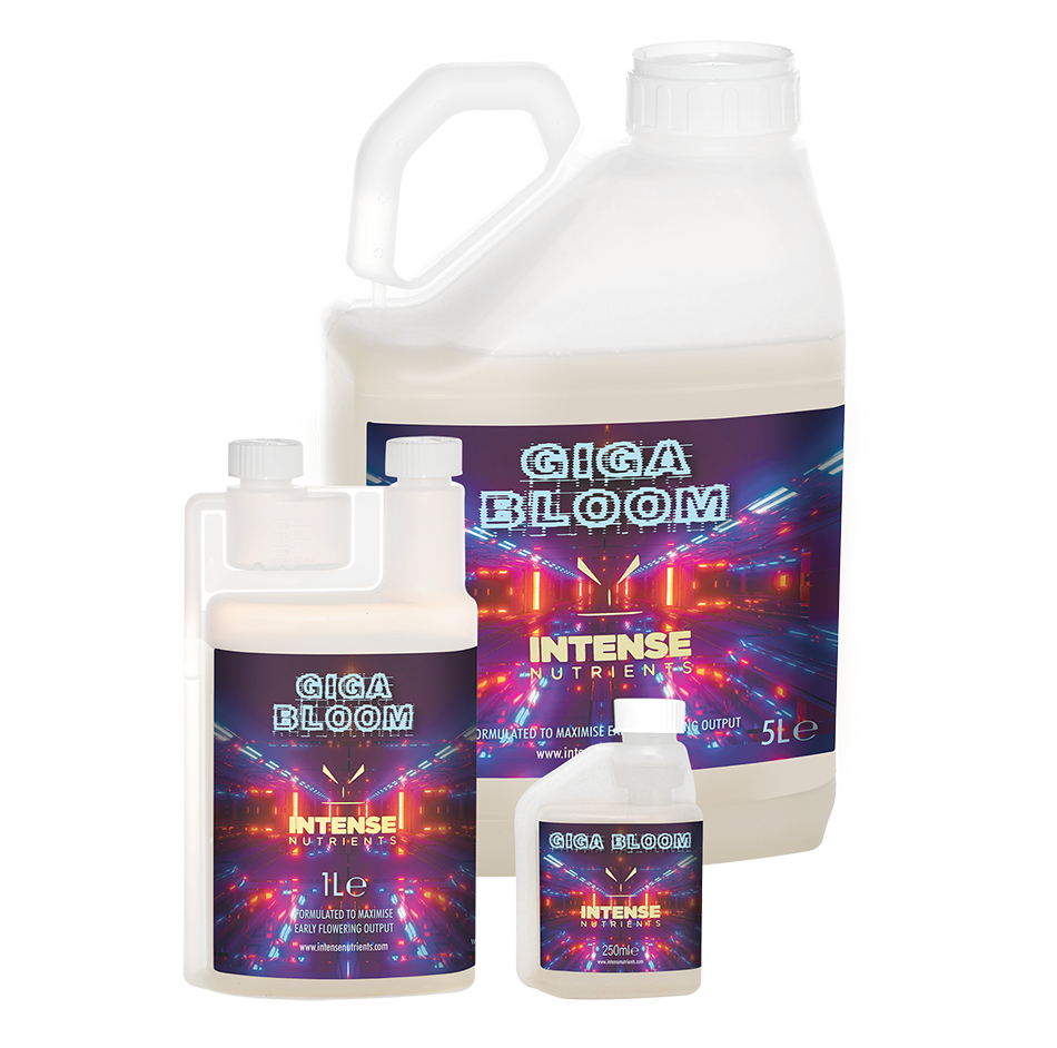 Intense Nutrients Giga Bloom