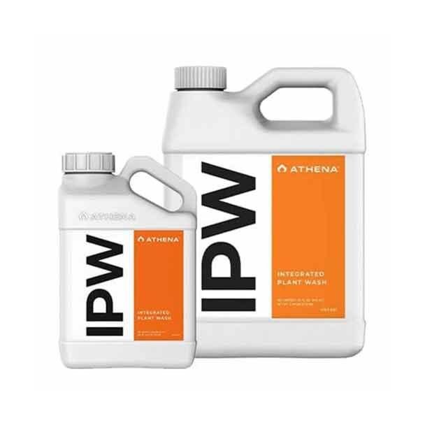 Athena IPW