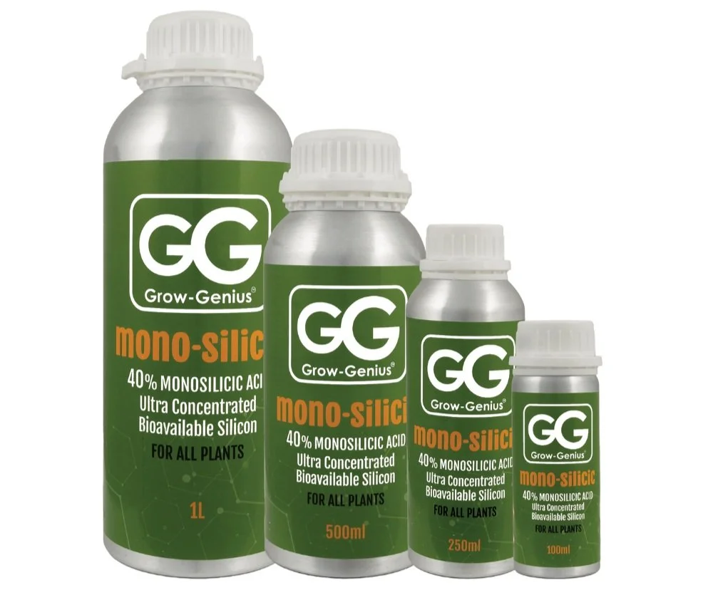 Grow Genius Mono Silicic